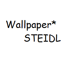 Wallpaper* STEIDL