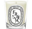 Freesia Candle Diptyque