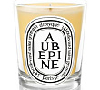 Aubepine Candle Diptyque