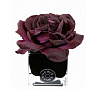 Diffuseur de Roses lum & Cube noir Herve Gambs Paris