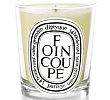 Foin Coupe Candle Diptyque