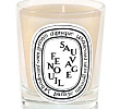 Fenouil Sauvage Candle Diptyque