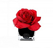 Diffuseur de Roses Red & Cube noir Herve Gambs Paris