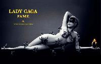  Lady Gaga Fame