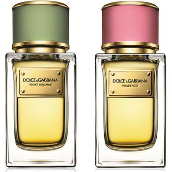 Velvet Rose и Velvet Bergamot от Dolce & Gabbana
