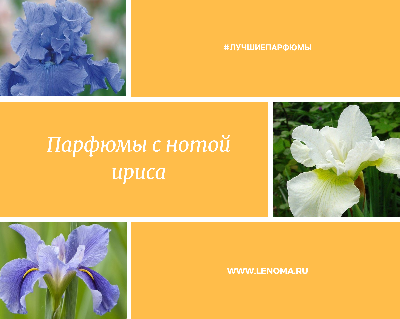 У каждого любителя ирисовой ноты в парфюмерии есть свой личный список фаворитов. У нас он тоже есть💜 У каждого любителя ирисовой ноты в парфюмерии есть свой личный список фаворитов. У нас он тоже есть💜