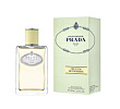 Infusion de Gingembre Prada