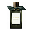 Midnight Journey Burberry