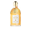 Mandarine Basilic Harvest Guerlain