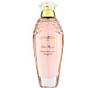 Iris Rose Body Oil Spray E Coudray