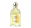 Aqua Allegoria Forte Nerolia Vetiver Guerlain