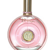 Royal Rose Aoud M. Micallef