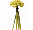 Diffuser Bouquet Amaryllis Pistachio 68sm Herve Gambs Paris
