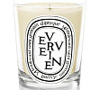 Verveine Candle Diptyque