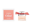 Roses de Chloe Chloe