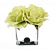 Big Diffuseur de Roses Green & Cube white Herve Gambs Paris