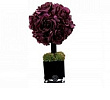 Diffuser Tree 20 sm Plum Rose cube noir Herve Gambs Paris