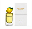 Lemon Dolce & Gabbana