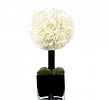 Diffuser Tree 20 sm White Rose cube noir Herve Gambs Paris