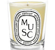 Musc  Candle Diptyque