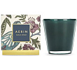 C    Aerin Lauder