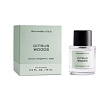 Citrus Woods Abercrombie & Fitch