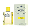 Infusion d'Ylang Prada