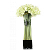 Diffuser Big White Bouquet Amaryllis Cube Noir Herve Gambs Paris