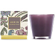   Aerin Lauder