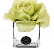 Diffuseur de Roses istachio & Cube white Herve Gambs Paris