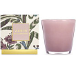    Aerin Lauder