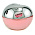 DKNY Be Delicious Fresh Blossom 100 . 