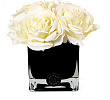 Big Diffuseur de Roses White & Cube noir Herve Gambs Paris