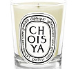 Choisya Candle Diptyque