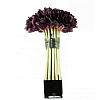 Diffuser Big Plum Bouquet Amaryllis Cube Noir Herve Gambs Paris