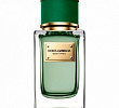 Velvet Cypress Dolce & Gabbana