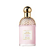 Aqua Allegoria Flora Cherrysia Guerlain