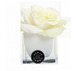 Diffuseur de Roses White & Cube white Herve Gambs Paris