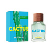 United Dreams Green Cactus For Him Benetton