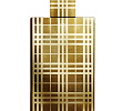 Brit Gold Burberry