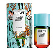 Paula's Ibiza Loewe