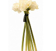 Diffuser Bouquet Amaryllis White 68sm Herve Gambs Paris