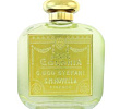 Caprifoglio Santa Maria Novella