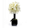 Diffuser 20 White Orchids 20*40 см Herve Gambs Paris