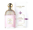 Aqua Allegoria Flora Cherrysia (Sakura Collection 2020) Guerlain